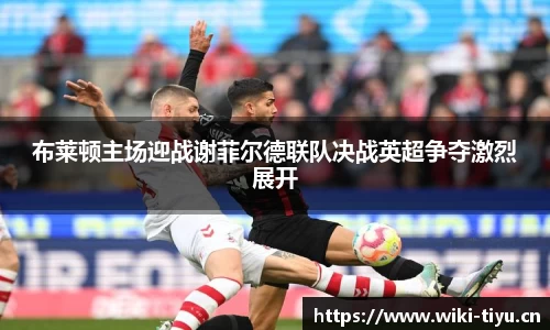 布莱顿主场迎战谢菲尔德联队决战英超争夺激烈展开